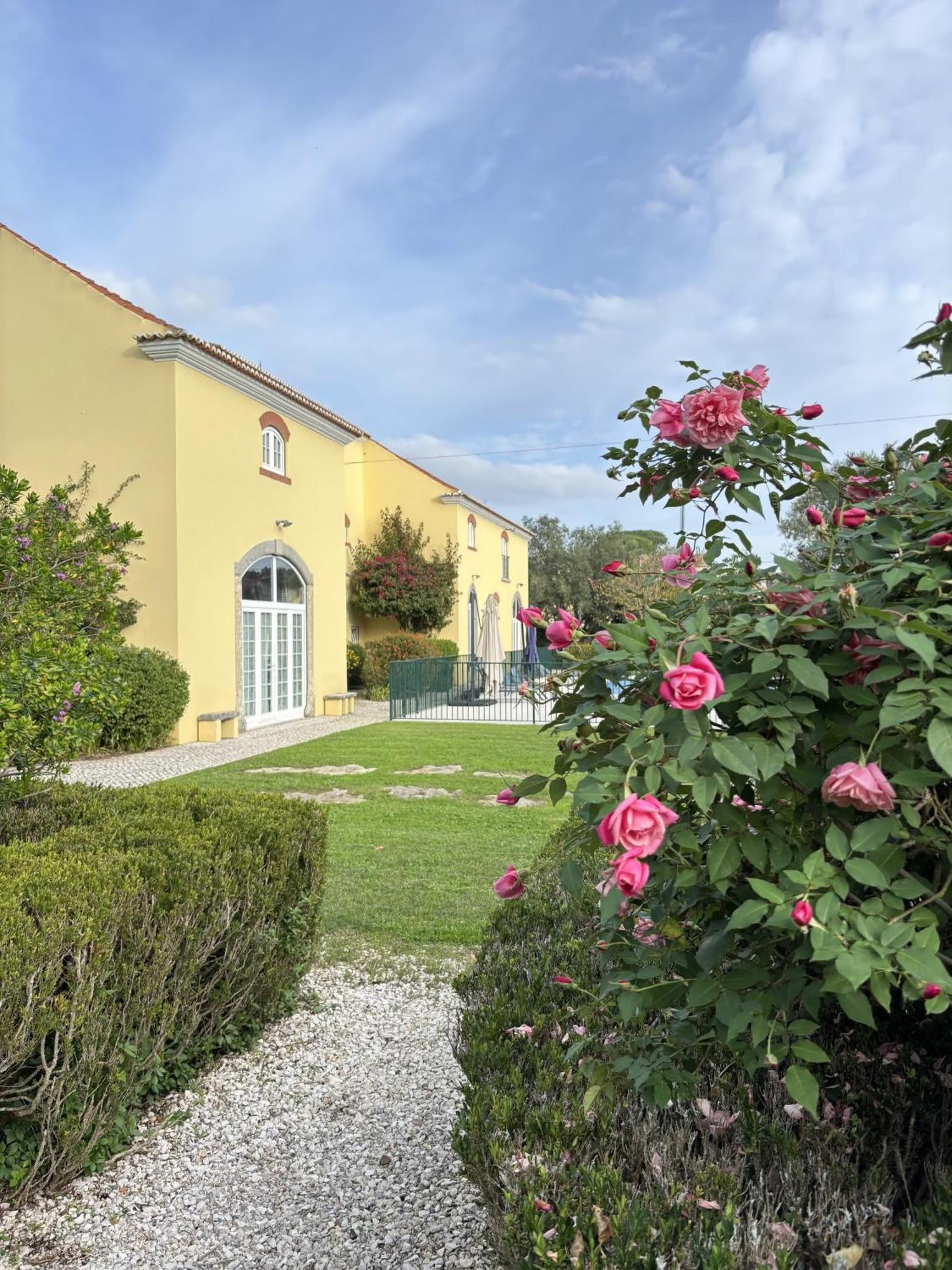 Quinta Do Scoto Bed & Breakfast Rinchoa Luaran gambar
