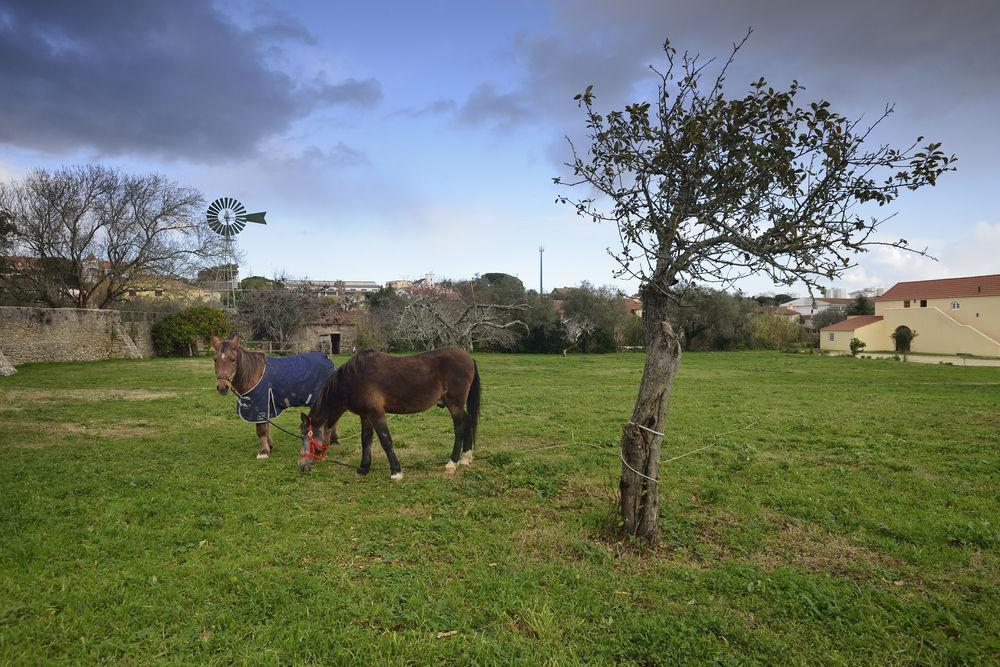 Quinta Do Scoto Bed & Breakfast Rinchoa Luaran gambar