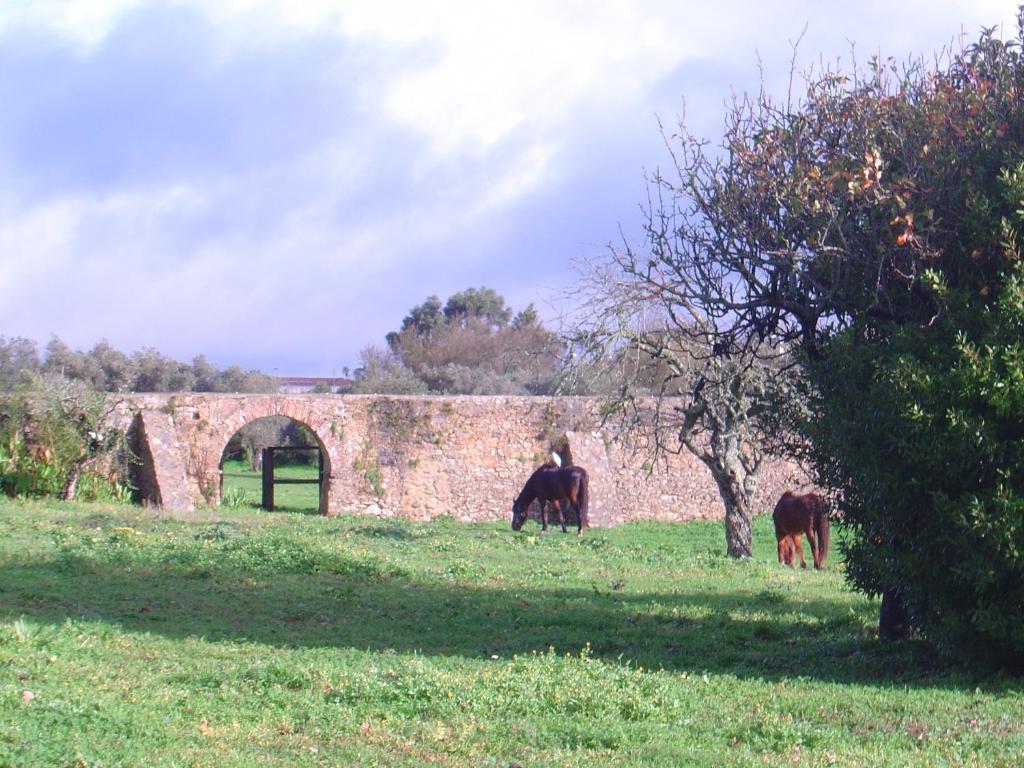 Quinta Do Scoto Bed & Breakfast Rinchoa Luaran gambar