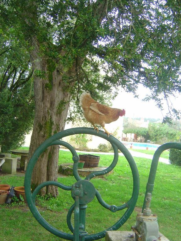 Quinta Do Scoto Bed & Breakfast Rinchoa Luaran gambar